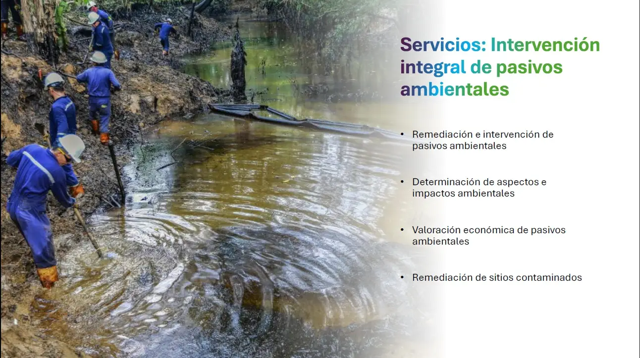 servicios intervencion